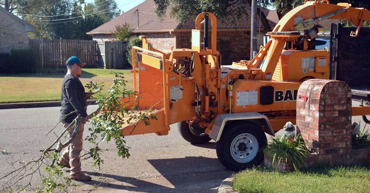 Professional landscaping team working together in a yard