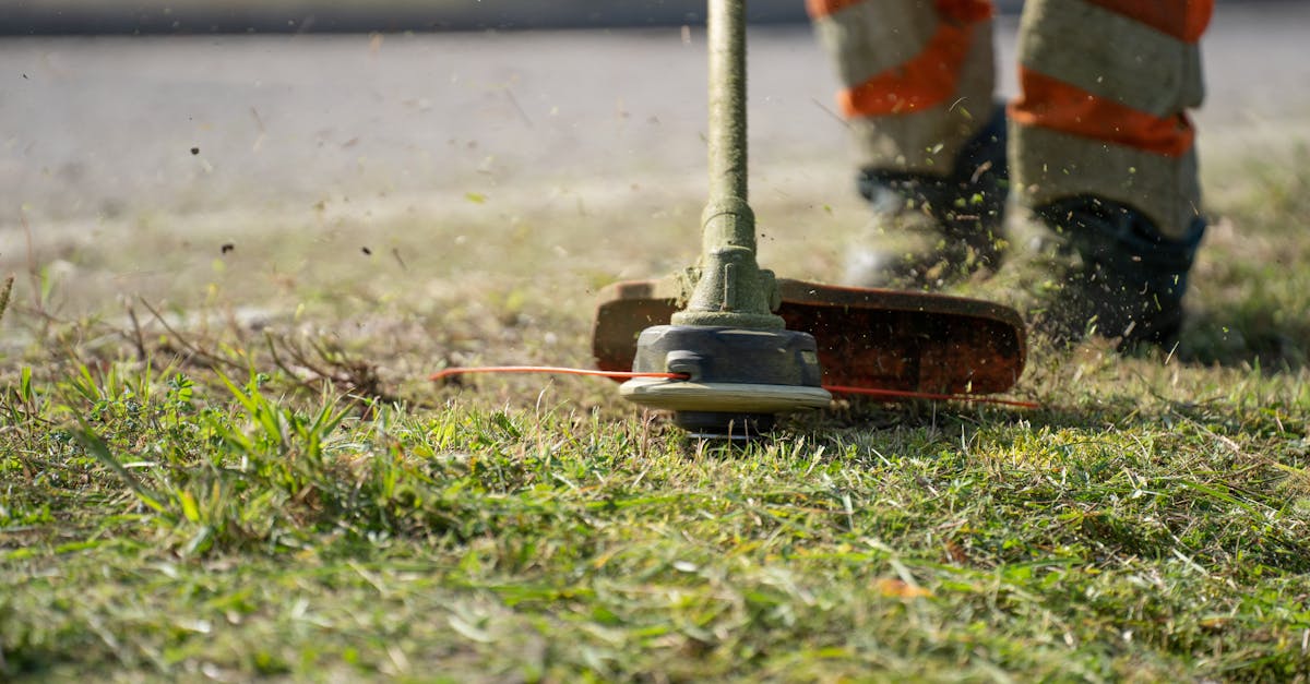 Professional lawn care equipment ready for service