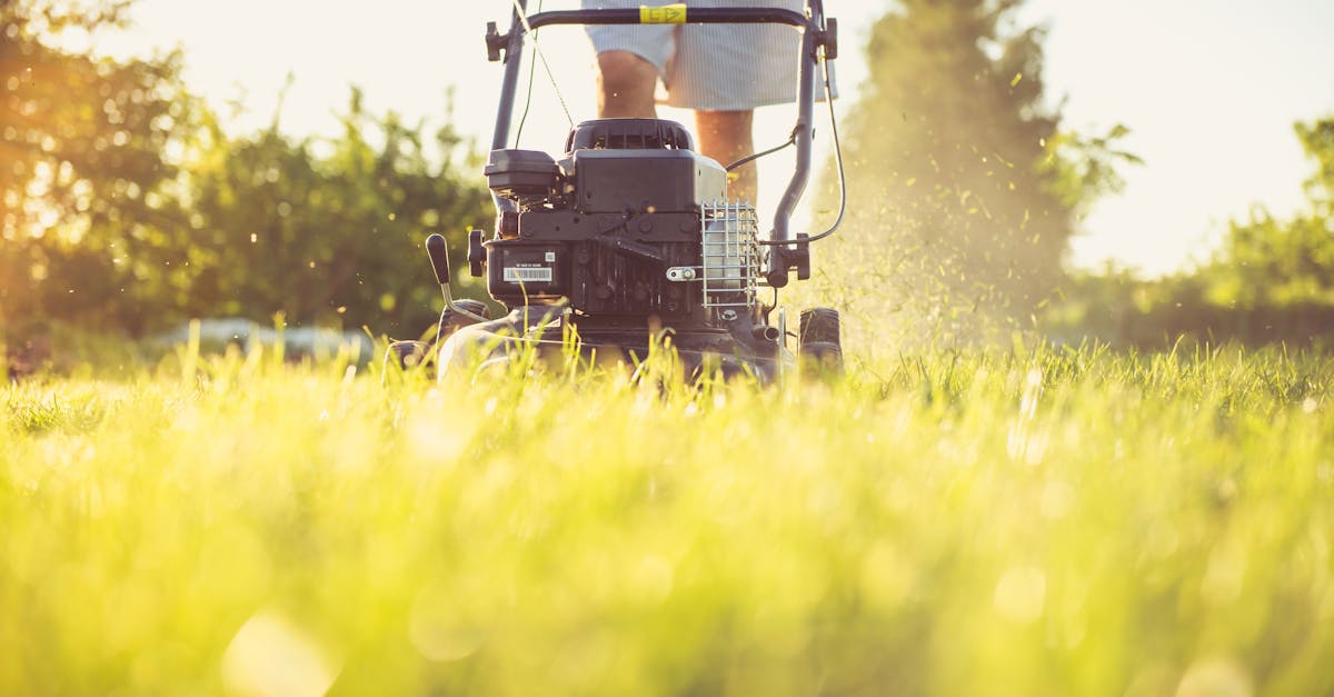 Professional lawn care service provider mowing a residential lawn