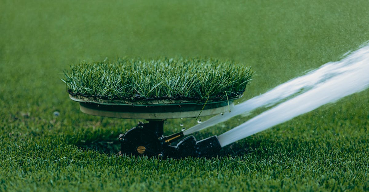 Sprinkler watering a green lawn as part of professional lawn care